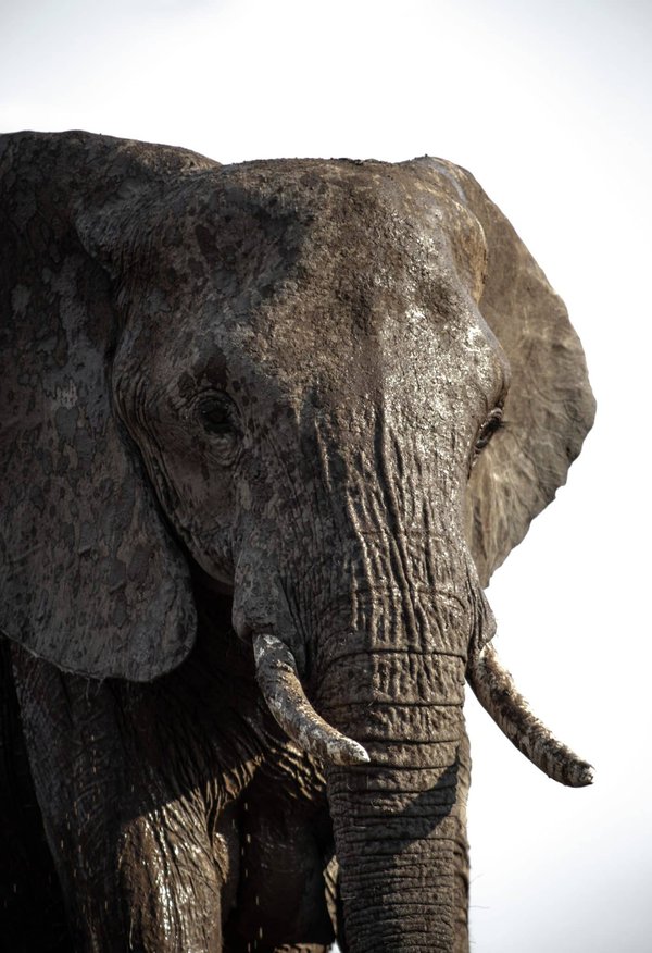 les clubs avec les plus grands stades du monde