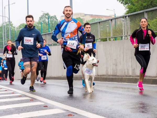 Pourquoi le marathon fait 42 km ?